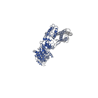 40741_8ss2_C_v1-2
Structure of AMPA receptor GluA2 complex with auxiliary subunits TARP gamma-5 and cornichon-2 bound to competitive antagonist ZK and channel blocker spermidine (closed state)