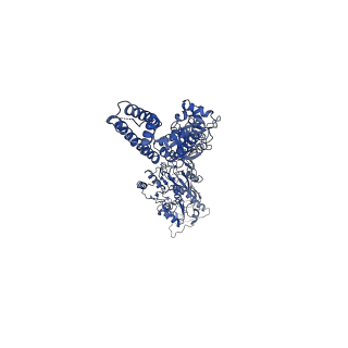 40741_8ss2_D_v1-2
Structure of AMPA receptor GluA2 complex with auxiliary subunits TARP gamma-5 and cornichon-2 bound to competitive antagonist ZK and channel blocker spermidine (closed state)