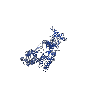 40742_8ss3_A_v1-2
Structure of LBD-TMD of AMPA receptor GluA2 in complex with auxiliary subunits TARP gamma-5 and cornichon-2 bound to competitive antagonist ZK and channel blocker spermidine (closed state)