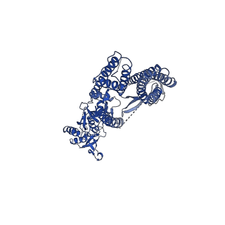 40742_8ss3_C_v1-2
Structure of LBD-TMD of AMPA receptor GluA2 in complex with auxiliary subunits TARP gamma-5 and cornichon-2 bound to competitive antagonist ZK and channel blocker spermidine (closed state)