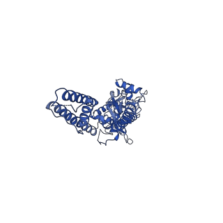 40742_8ss3_D_v1-2
Structure of LBD-TMD of AMPA receptor GluA2 in complex with auxiliary subunits TARP gamma-5 and cornichon-2 bound to competitive antagonist ZK and channel blocker spermidine (closed state)