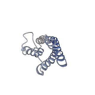 40742_8ss3_E_v1-2
Structure of LBD-TMD of AMPA receptor GluA2 in complex with auxiliary subunits TARP gamma-5 and cornichon-2 bound to competitive antagonist ZK and channel blocker spermidine (closed state)