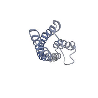 40742_8ss3_F_v1-2
Structure of LBD-TMD of AMPA receptor GluA2 in complex with auxiliary subunits TARP gamma-5 and cornichon-2 bound to competitive antagonist ZK and channel blocker spermidine (closed state)