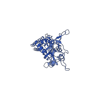 40743_8ss4_B_v1-2
Structure of LBD-TMD of AMPA receptor GluA2 in complex with auxiliary subunits TARP gamma-5 and cornichon-2 (apo state)