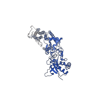 40743_8ss4_C_v1-2
Structure of LBD-TMD of AMPA receptor GluA2 in complex with auxiliary subunits TARP gamma-5 and cornichon-2 (apo state)