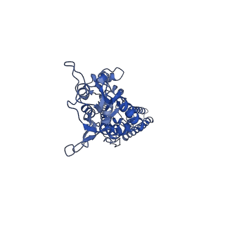 40743_8ss4_D_v1-2
Structure of LBD-TMD of AMPA receptor GluA2 in complex with auxiliary subunits TARP gamma-5 and cornichon-2 (apo state)