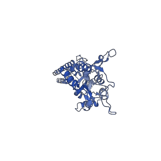 40744_8ss5_B_v1-2
Structure of LBD-TMD of AMPA receptor GluA2 in complex with auxiliary subunit TARP gamma-5 (apo state)