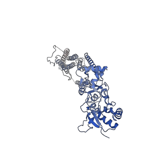 40744_8ss5_C_v1-2
Structure of LBD-TMD of AMPA receptor GluA2 in complex with auxiliary subunit TARP gamma-5 (apo state)