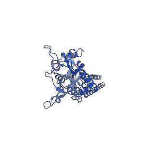 40744_8ss5_D_v1-2
Structure of LBD-TMD of AMPA receptor GluA2 in complex with auxiliary subunit TARP gamma-5 (apo state)