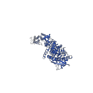 40745_8ss6_A_v1-2
Structure of AMPA receptor GluA2 complex with auxiliary subunits TARP gamma-5 and cornichon-2 bound to competitive antagonist ZK, channel blocker spermidine and antiepileptic drug perampanel (closed state)