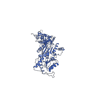 40745_8ss6_B_v1-2
Structure of AMPA receptor GluA2 complex with auxiliary subunits TARP gamma-5 and cornichon-2 bound to competitive antagonist ZK, channel blocker spermidine and antiepileptic drug perampanel (closed state)