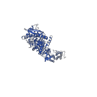 40745_8ss6_C_v1-2
Structure of AMPA receptor GluA2 complex with auxiliary subunits TARP gamma-5 and cornichon-2 bound to competitive antagonist ZK, channel blocker spermidine and antiepileptic drug perampanel (closed state)