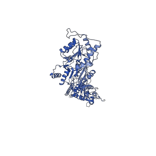 40745_8ss6_D_v1-2
Structure of AMPA receptor GluA2 complex with auxiliary subunits TARP gamma-5 and cornichon-2 bound to competitive antagonist ZK, channel blocker spermidine and antiepileptic drug perampanel (closed state)