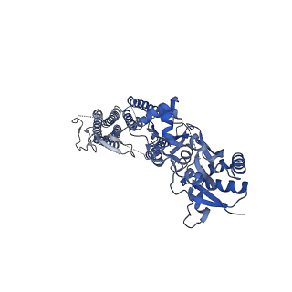40746_8ss7_A_v1-2
Structure of AMPA receptor GluA2 complex with auxiliary subunits TARP gamma-5 and cornichon-2 bound to competitive antagonist ZK, channel blocker spermidine and antiepileptic drug perampanel (closed state)