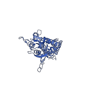 40746_8ss7_B_v1-2
Structure of AMPA receptor GluA2 complex with auxiliary subunits TARP gamma-5 and cornichon-2 bound to competitive antagonist ZK, channel blocker spermidine and antiepileptic drug perampanel (closed state)
