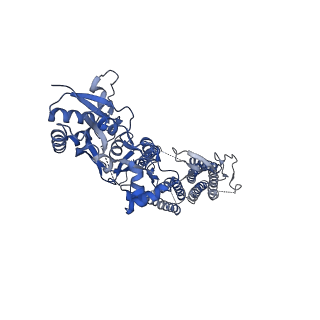 40746_8ss7_C_v1-2
Structure of AMPA receptor GluA2 complex with auxiliary subunits TARP gamma-5 and cornichon-2 bound to competitive antagonist ZK, channel blocker spermidine and antiepileptic drug perampanel (closed state)
