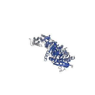 40747_8ss8_A_v1-2
Structure of AMPA receptor GluA2 complex with auxiliary subunit TARP gamma-5 bound to competitive antagonist ZK and antiepileptic drug perampanel (closed state)