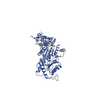 40747_8ss8_B_v1-2
Structure of AMPA receptor GluA2 complex with auxiliary subunit TARP gamma-5 bound to competitive antagonist ZK and antiepileptic drug perampanel (closed state)