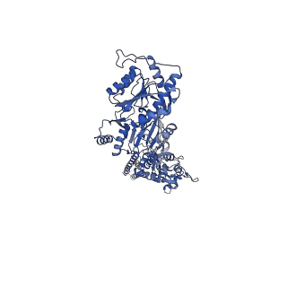 40747_8ss8_D_v1-2
Structure of AMPA receptor GluA2 complex with auxiliary subunit TARP gamma-5 bound to competitive antagonist ZK and antiepileptic drug perampanel (closed state)
