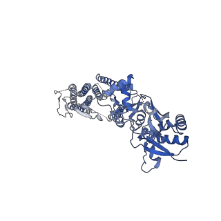 40748_8ss9_A_v1-2
Structure of LBD-TMD of AMPA receptor GluA2 in complex with auxiliary subunit TARP gamma-5 bound to competitive antagonist ZK and antiepileptic drug perampanel (closed state)