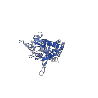 40748_8ss9_B_v1-2
Structure of LBD-TMD of AMPA receptor GluA2 in complex with auxiliary subunit TARP gamma-5 bound to competitive antagonist ZK and antiepileptic drug perampanel (closed state)