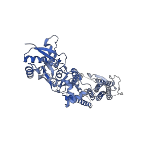 40748_8ss9_C_v1-2
Structure of LBD-TMD of AMPA receptor GluA2 in complex with auxiliary subunit TARP gamma-5 bound to competitive antagonist ZK and antiepileptic drug perampanel (closed state)