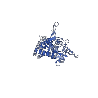40748_8ss9_D_v1-2
Structure of LBD-TMD of AMPA receptor GluA2 in complex with auxiliary subunit TARP gamma-5 bound to competitive antagonist ZK and antiepileptic drug perampanel (closed state)