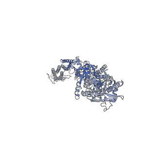 40749_8ssa_A_v1-2
Structure of AMPA receptor GluA2 complex with auxiliary subunits TARP gamma-5 and cornichon-2 bound to glutamate and channel blocker spermidine (desensitized state)