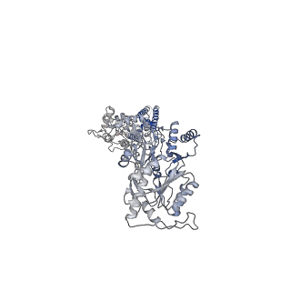 40749_8ssa_B_v1-2
Structure of AMPA receptor GluA2 complex with auxiliary subunits TARP gamma-5 and cornichon-2 bound to glutamate and channel blocker spermidine (desensitized state)