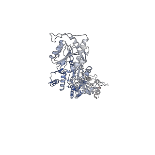 40749_8ssa_D_v1-2
Structure of AMPA receptor GluA2 complex with auxiliary subunits TARP gamma-5 and cornichon-2 bound to glutamate and channel blocker spermidine (desensitized state)