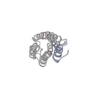 40749_8ssa_E_v1-2
Structure of AMPA receptor GluA2 complex with auxiliary subunits TARP gamma-5 and cornichon-2 bound to glutamate and channel blocker spermidine (desensitized state)