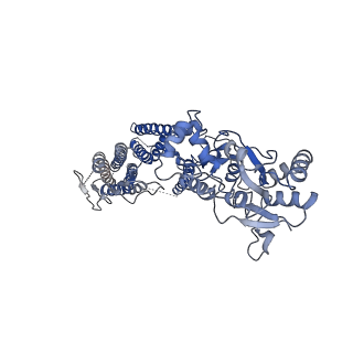 40750_8ssb_A_v1-2
Structure of LBD-TMD of AMPA receptor GluA2 in complex with auxiliary subunits TARP gamma-5 and cornichon-2 bound to glutamate and channel blocker spermidine (desensitized state)