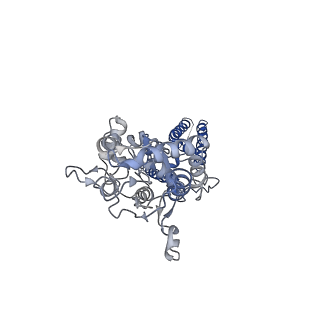 40750_8ssb_B_v1-2
Structure of LBD-TMD of AMPA receptor GluA2 in complex with auxiliary subunits TARP gamma-5 and cornichon-2 bound to glutamate and channel blocker spermidine (desensitized state)