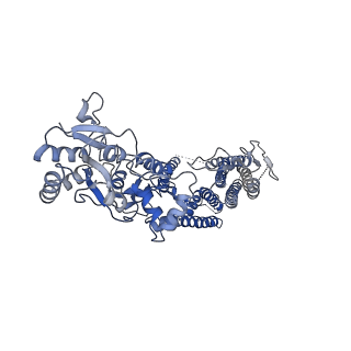 40750_8ssb_C_v1-2
Structure of LBD-TMD of AMPA receptor GluA2 in complex with auxiliary subunits TARP gamma-5 and cornichon-2 bound to glutamate and channel blocker spermidine (desensitized state)