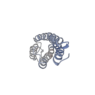 40750_8ssb_E_v1-2
Structure of LBD-TMD of AMPA receptor GluA2 in complex with auxiliary subunits TARP gamma-5 and cornichon-2 bound to glutamate and channel blocker spermidine (desensitized state)