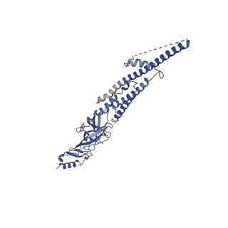 40752_8ssz_A_v1-0
The 2alpha3beta stoichiometry of full-length human alpha4beta2 nicotinic acetylcholine receptor in complex with acetylcholine and calcium