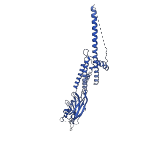 40752_8ssz_C_v1-0
The 2alpha3beta stoichiometry of full-length human alpha4beta2 nicotinic acetylcholine receptor in complex with acetylcholine and calcium