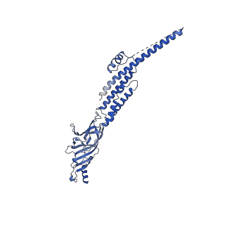 40752_8ssz_E_v1-0
The 2alpha3beta stoichiometry of full-length human alpha4beta2 nicotinic acetylcholine receptor in complex with acetylcholine and calcium