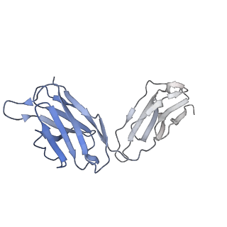 40752_8ssz_F_v1-0
The 2alpha3beta stoichiometry of full-length human alpha4beta2 nicotinic acetylcholine receptor in complex with acetylcholine and calcium