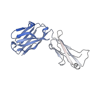 40752_8ssz_G_v1-0
The 2alpha3beta stoichiometry of full-length human alpha4beta2 nicotinic acetylcholine receptor in complex with acetylcholine and calcium