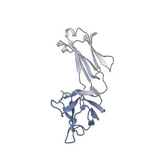 40752_8ssz_H_v1-0
The 2alpha3beta stoichiometry of full-length human alpha4beta2 nicotinic acetylcholine receptor in complex with acetylcholine and calcium