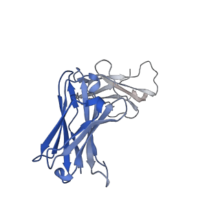 40752_8ssz_I_v1-0
The 2alpha3beta stoichiometry of full-length human alpha4beta2 nicotinic acetylcholine receptor in complex with acetylcholine and calcium