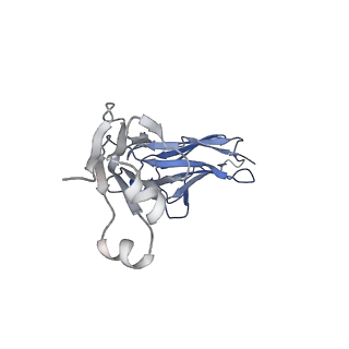 40752_8ssz_J_v1-0
The 2alpha3beta stoichiometry of full-length human alpha4beta2 nicotinic acetylcholine receptor in complex with acetylcholine and calcium