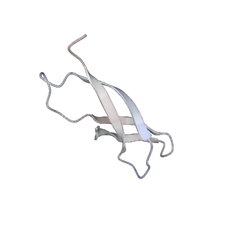 25418_7st2_C_v1-0
Post translocation, non-rotated 70S ribosome with EF-G dissociated (Structure VII)