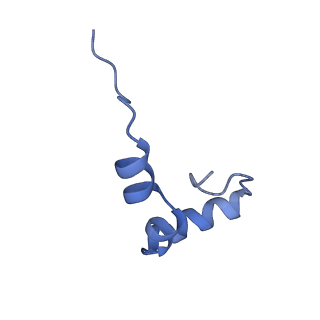 25418_7st2_D_v1-0
Post translocation, non-rotated 70S ribosome with EF-G dissociated (Structure VII)