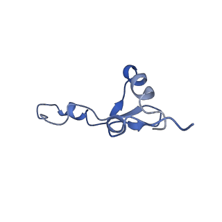 25418_7st2_E_v1-0
Post translocation, non-rotated 70S ribosome with EF-G dissociated (Structure VII)