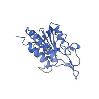 25418_7st2_G_v1-0
Post translocation, non-rotated 70S ribosome with EF-G dissociated (Structure VII)