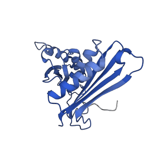 25418_7st2_H_v1-0
Post translocation, non-rotated 70S ribosome with EF-G dissociated (Structure VII)