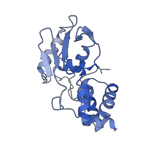 25418_7st2_I_v1-0
Post translocation, non-rotated 70S ribosome with EF-G dissociated (Structure VII)