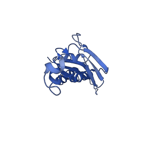 25418_7st2_J_v1-0
Post translocation, non-rotated 70S ribosome with EF-G dissociated (Structure VII)